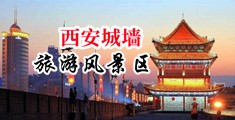 国外操穴视频中国陕西-西安城墙旅游风景区